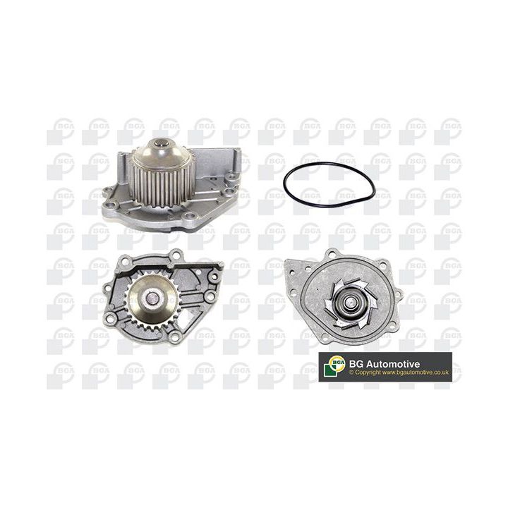 Vandens siurblys, variklio aušinimas BGA CP2798