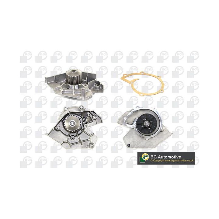 Vandens siurblys, variklio aušinimas BGA CP2840