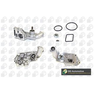 Vandens siurblys, variklio aušinimas BGA CP2842