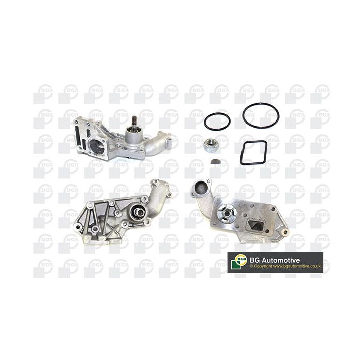 Vandens siurblys, variklio aušinimas BGA CP2842