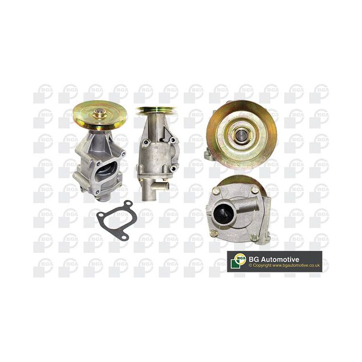 Vandens siurblys, variklio aušinimas BGA CP2846