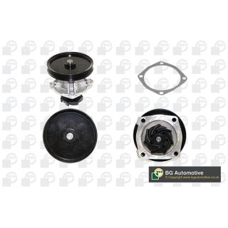 Vandens siurblys, variklio aušinimas BGA CP2860