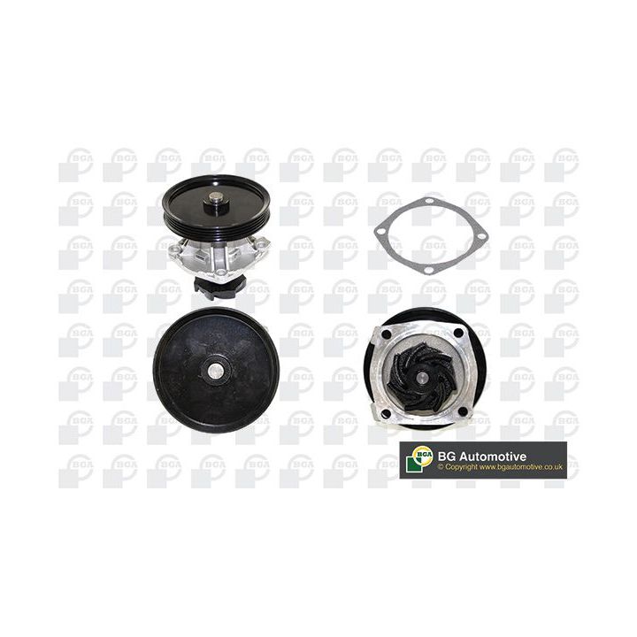 Vandens siurblys, variklio aušinimas BGA CP2860