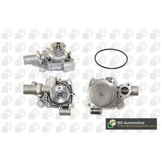 Vandens siurblys, variklio aušinimas BGA CP2874