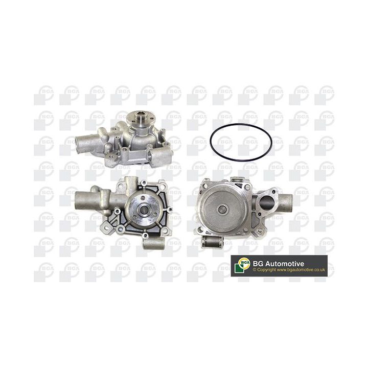 Vandens siurblys, variklio aušinimas BGA CP2874