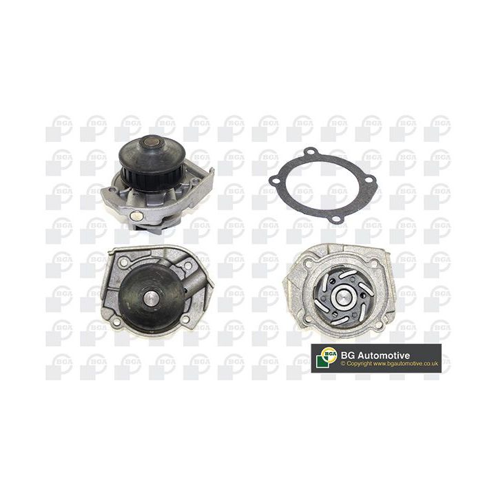 Vandens siurblys, variklio aušinimas BGA CP3046