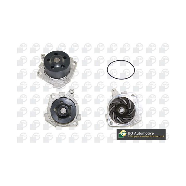 Vandens siurblys, variklio aušinimas BGA CP3090