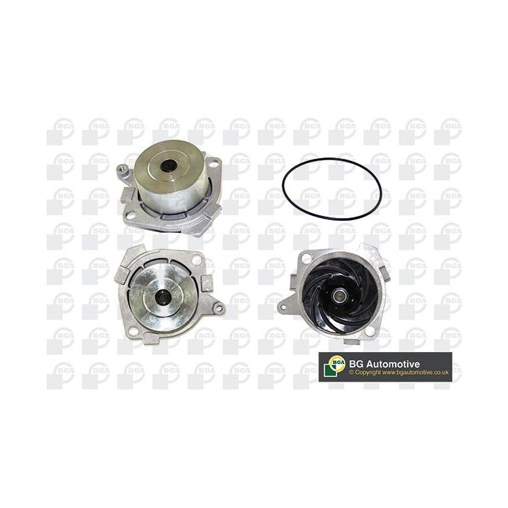 Vandens siurblys, variklio aušinimas BGA CP3116