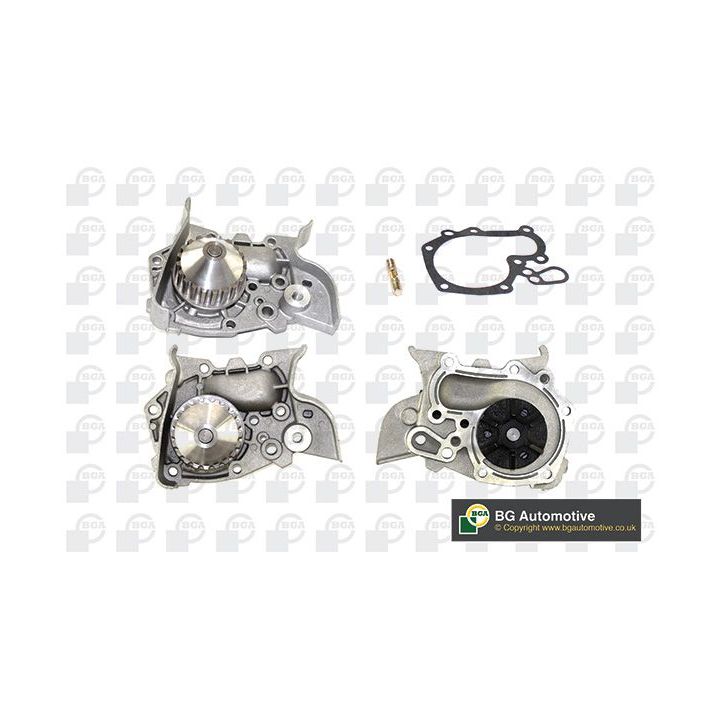 Vandens siurblys, variklio aušinimas BGA CP3154