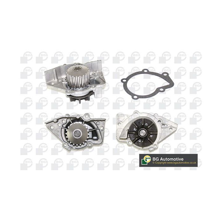 Vandens siurblys, variklio aušinimas BGA CP3158