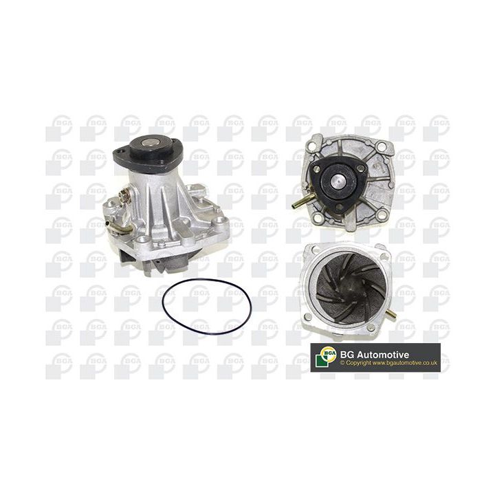 Vandens siurblys, variklio aušinimas BGA CP3188