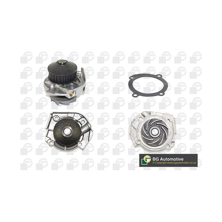 Vandens siurblys, variklio aušinimas BGA CP3232