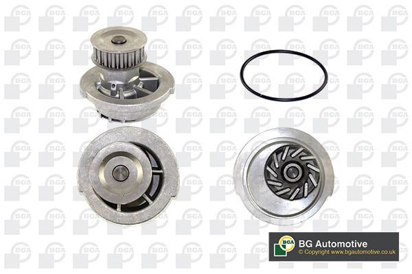 Vandens siurblys, variklio aušinimas BGA CP3262