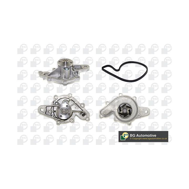 Vandens siurblys, variklio aušinimas BGA CP3308