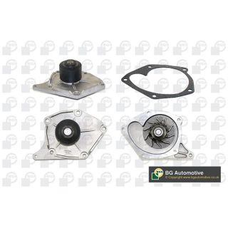 Vandens siurblys, variklio aušinimas BGA CP3314