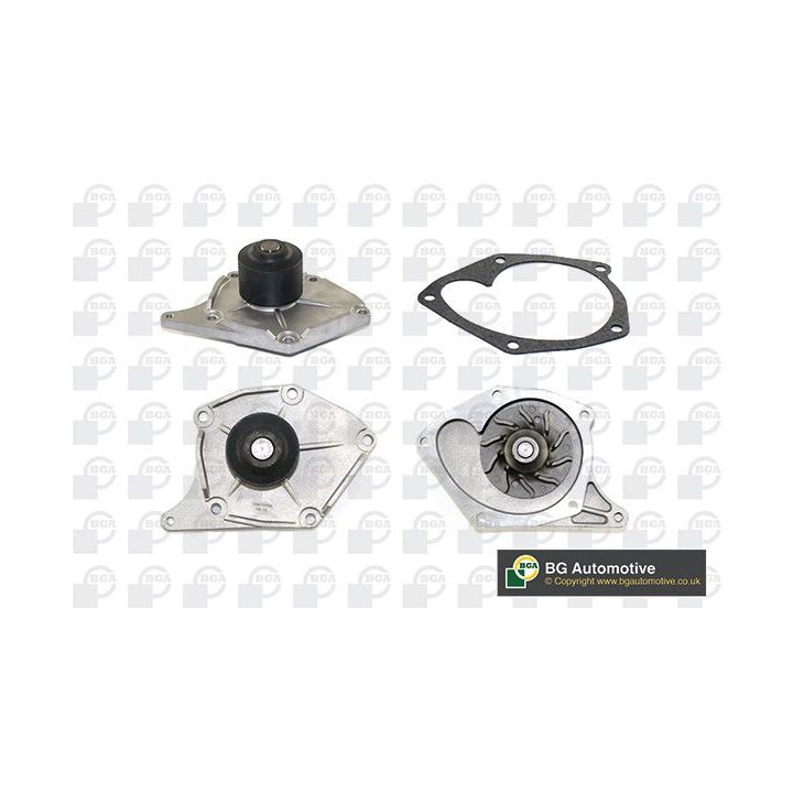 Vandens siurblys, variklio aušinimas BGA CP3314