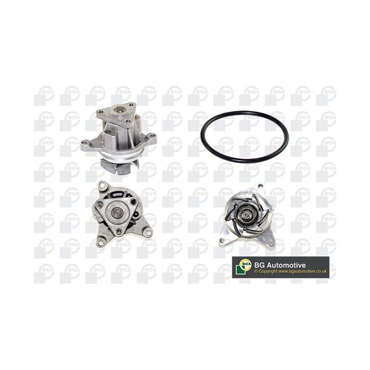 Vandens siurblys, variklio aušinimas BGA CP3318