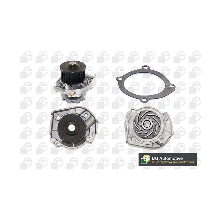 Vandens siurblys, variklio aušinimas BGA CP3322