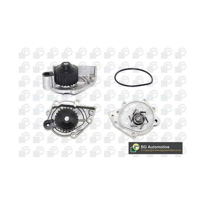 Vandens siurblys, variklio aušinimas BGA CP3332