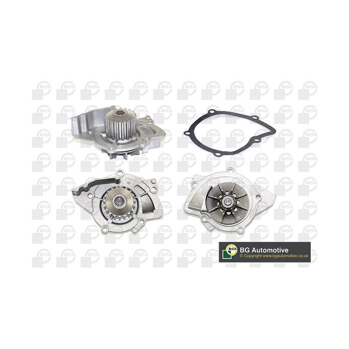 Vandens siurblys, variklio aušinimas BGA CP3380