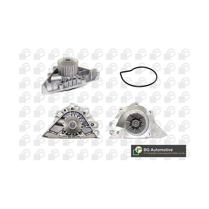 Vandens siurblys, variklio aušinimas BGA CP3382