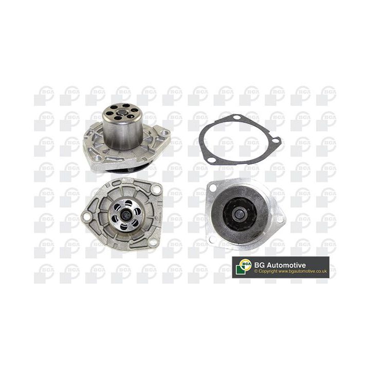 Vandens siurblys, variklio aušinimas BGA CP3404