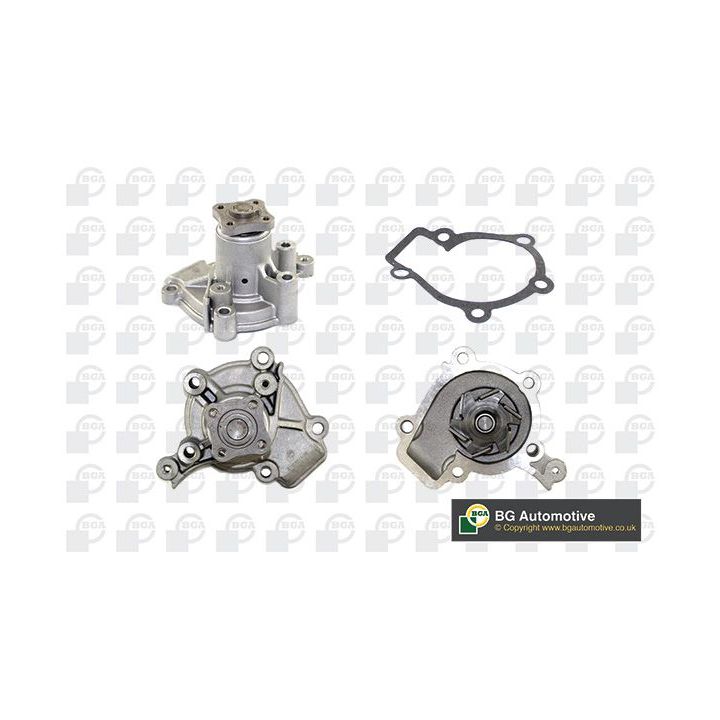 Vandens siurblys, variklio aušinimas BGA CP3442