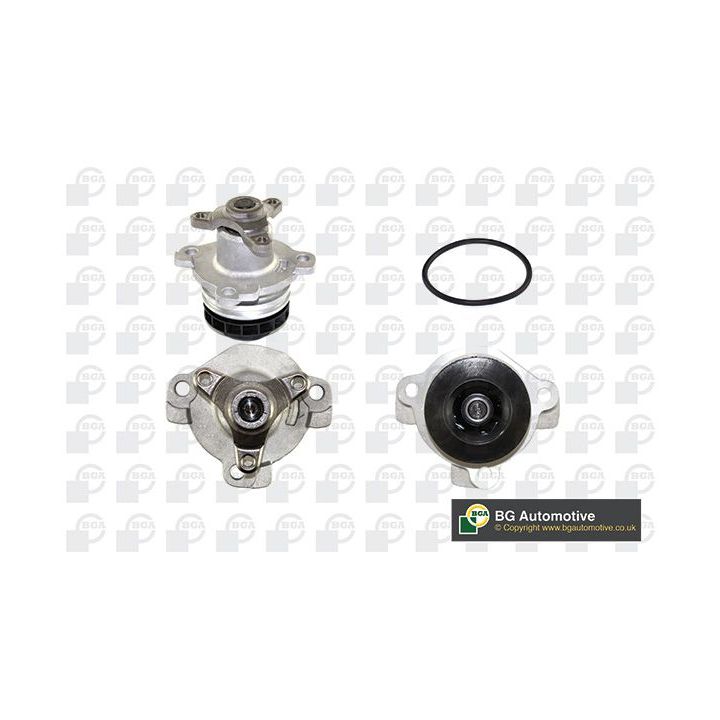 Vandens siurblys, variklio aušinimas BGA CP3502