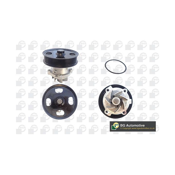 Vandens siurblys, variklio aušinimas BGA CP3716