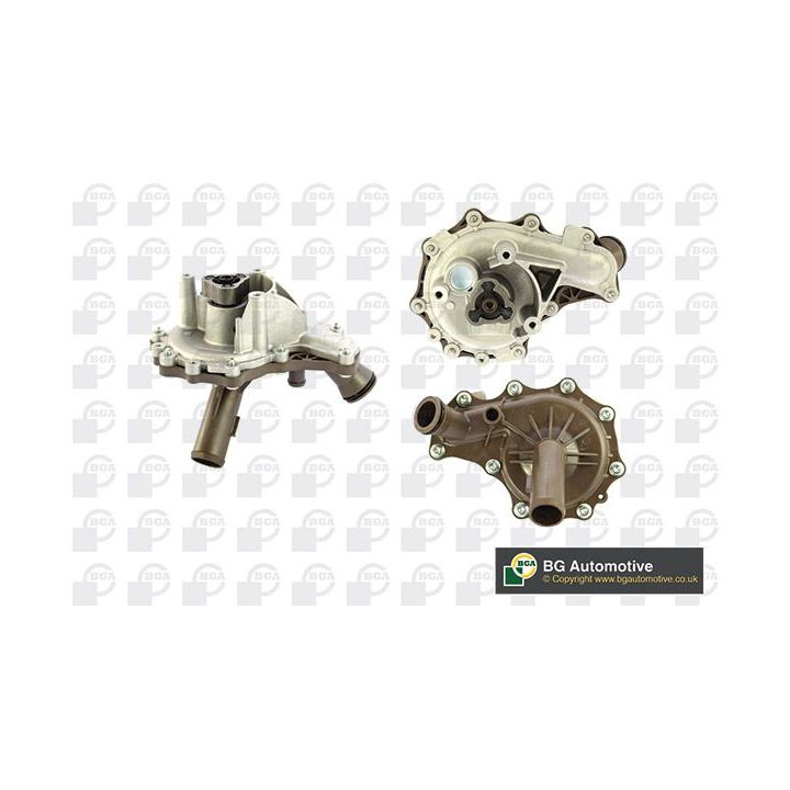 Vandens siurblys, variklio aušinimas BGA CP3806