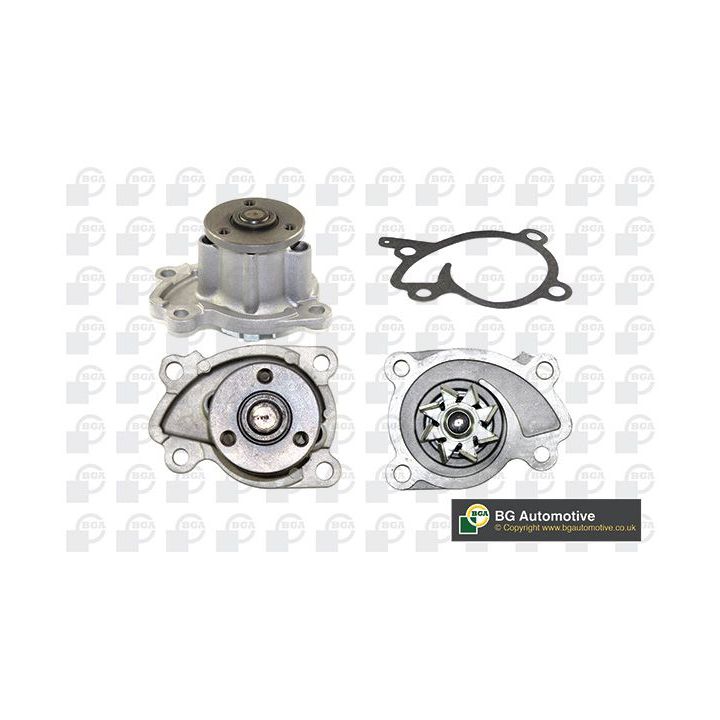 Vandens siurblys, variklio aušinimas BGA CP3862