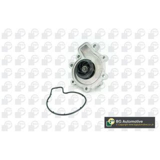 Vandens siurblys, variklio aušinimas BGA CP5401