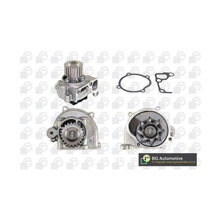 Vandens siurblys, variklio aušinimas BGA CP7090T