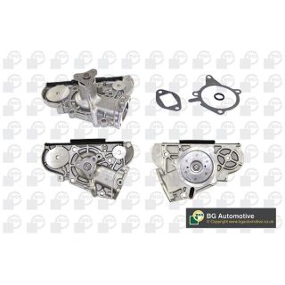 Vandens siurblys, variklio aušinimas BGA CP8136