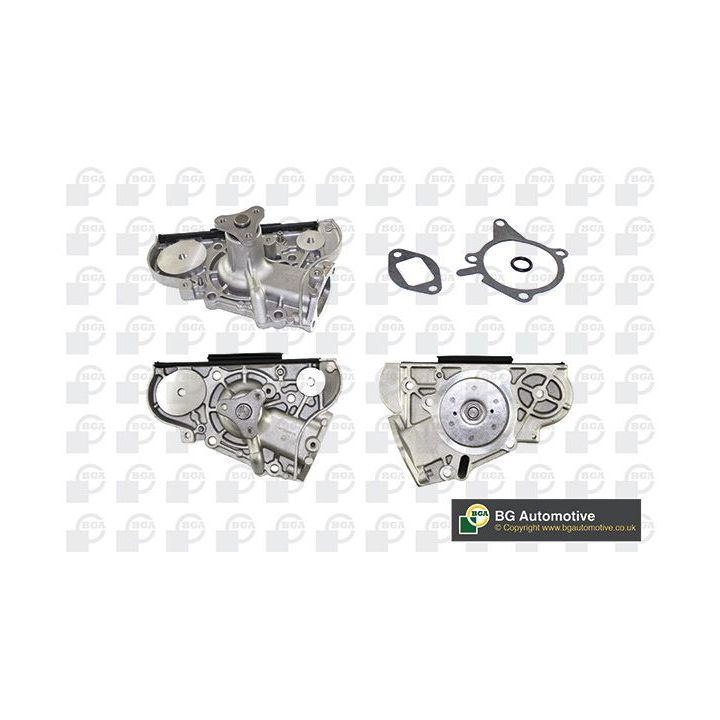 Vandens siurblys, variklio aušinimas BGA CP8136