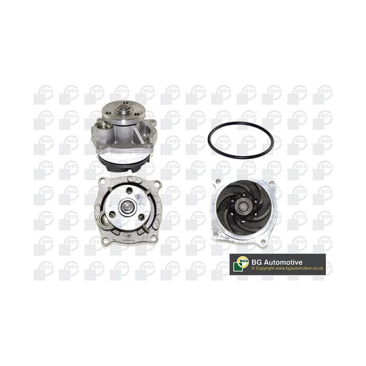 Vandens siurblys, variklio aušinimas BGA CP8230