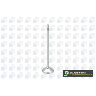 įvado vožtuvas BGA V200610