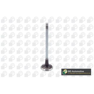 įvado vožtuvas BGA V203632