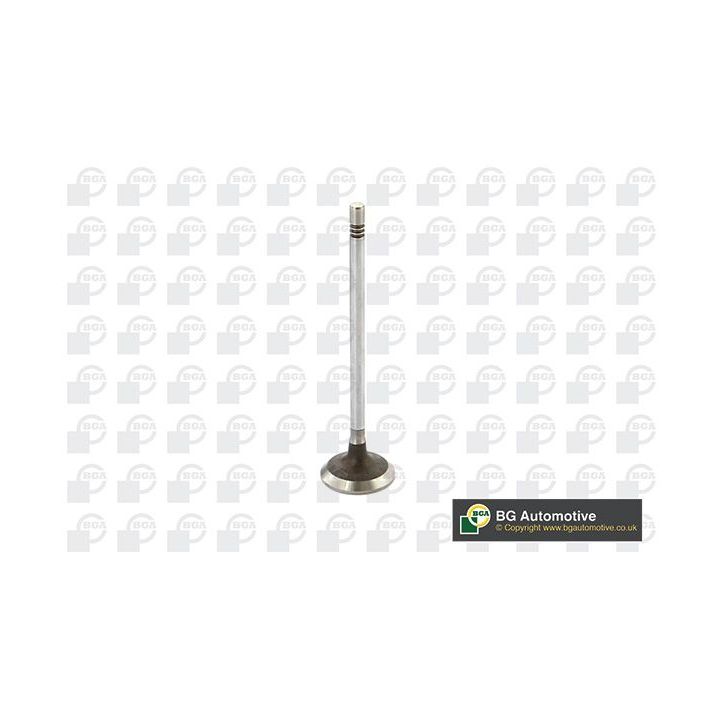 įvado vožtuvas BGA V229199