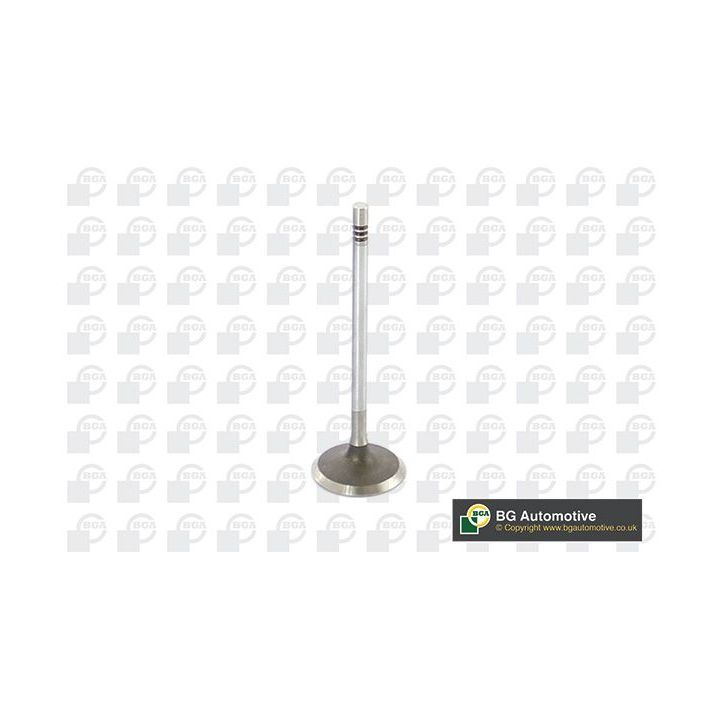 įvado vožtuvas BGA V229666