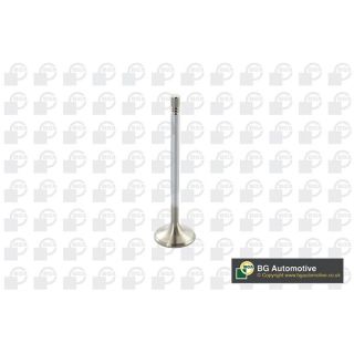 įvado vožtuvas BGA V560011