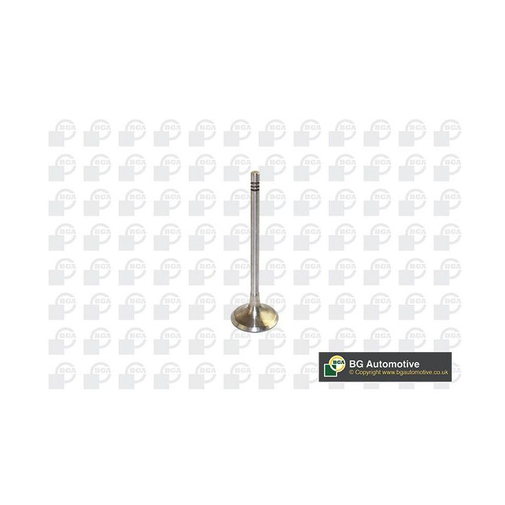 įvado vožtuvas BGA V591701