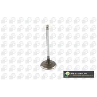 įvado vožtuvas BGA V912002