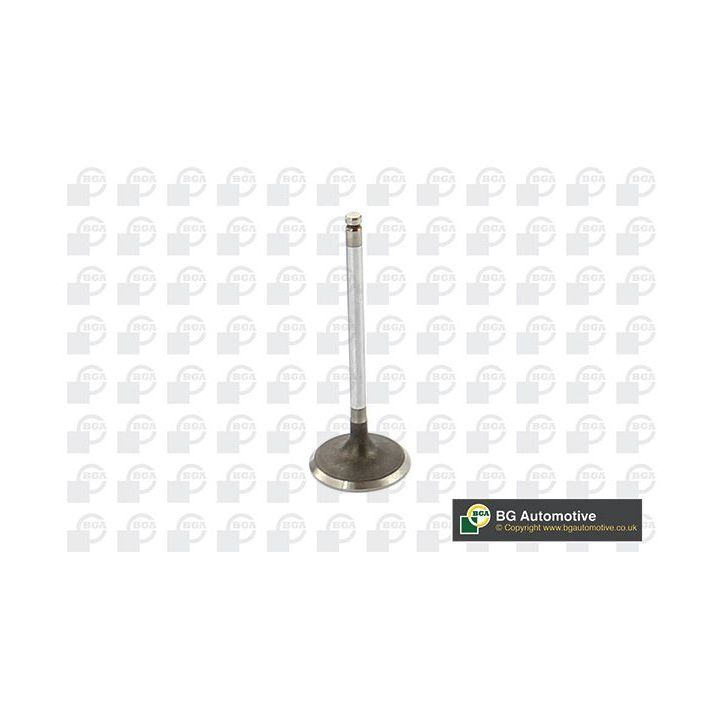 įvado vožtuvas BGA V912002