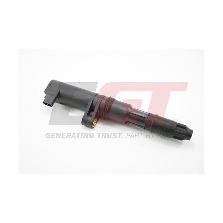 Ritė, uždegimas EGT 940002EGT