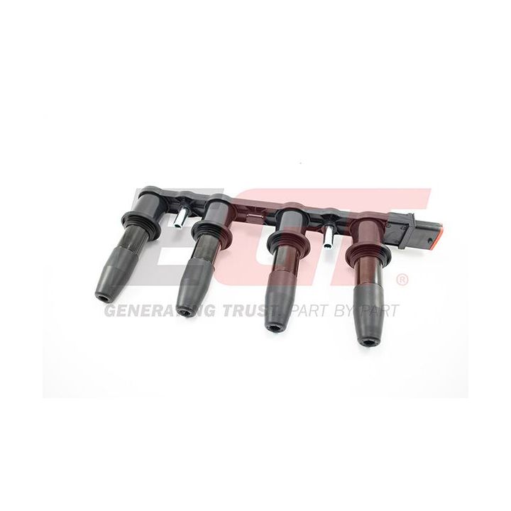 Ritė, uždegimas EGT 940005EGT