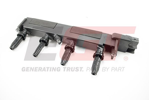 Ritė, uždegimas EGT 940008EGT