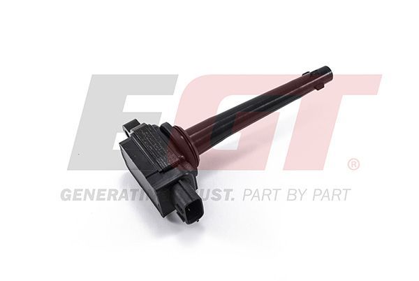 Ritė, uždegimas EGT 940027EGT