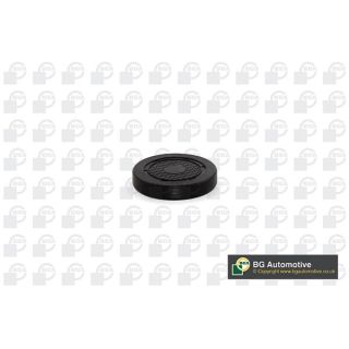 Kaištis, pavaros svirties veleno tvirtinimo anga BGA PL4601