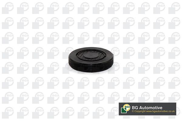 Kaištis, pavaros svirties veleno tvirtinimo anga BGA PL4602